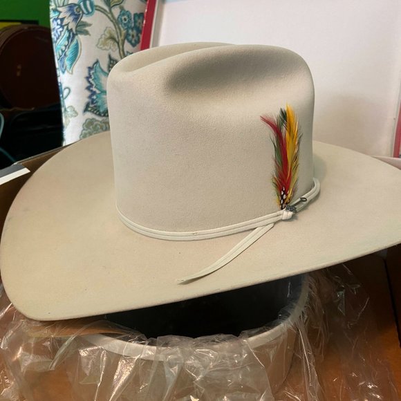 Stetson Rancher with Feathers Women's Hat - Never Worn - Picture 1 of 7